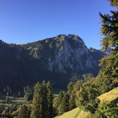 Hirzli