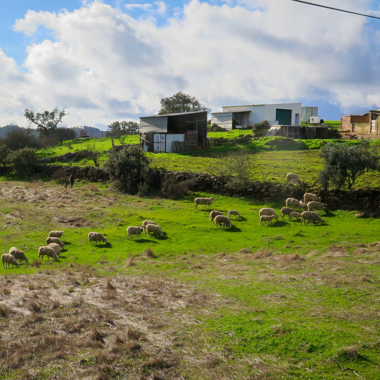 Algarve, Navidad 2025