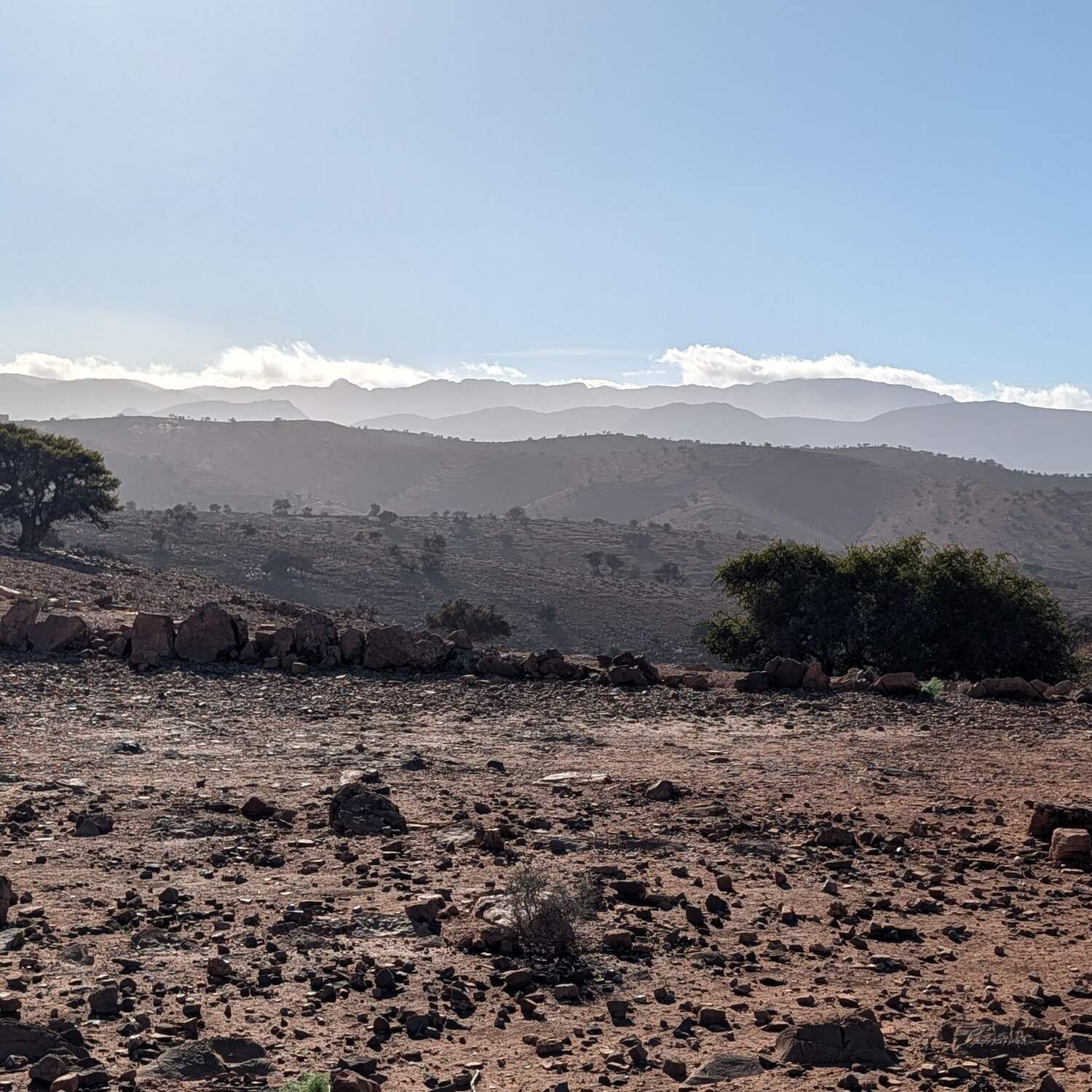 Après la pluie... Maroc 2026