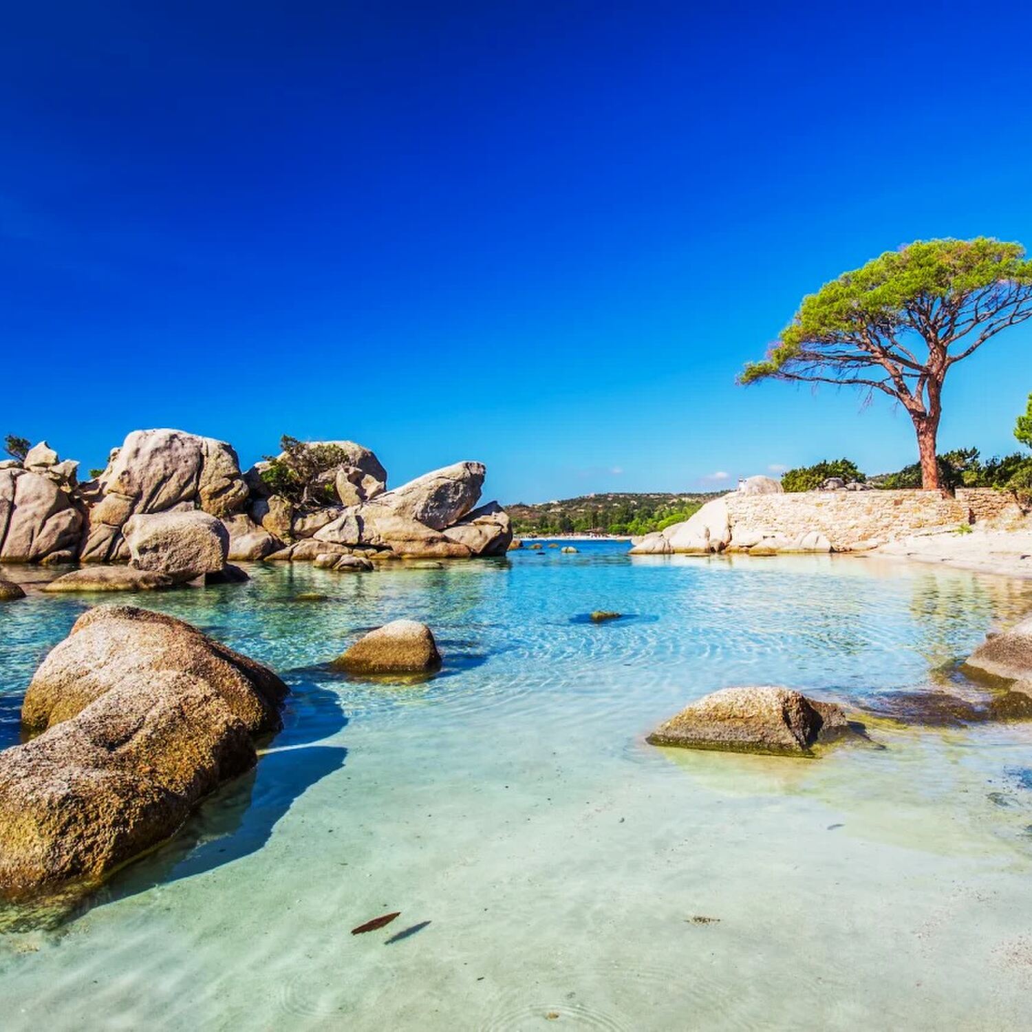 Korsika und Sardinien