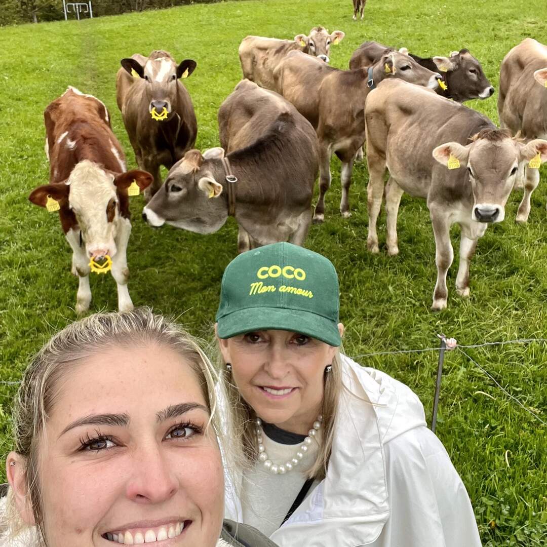 Exploring Swiss Wonderland