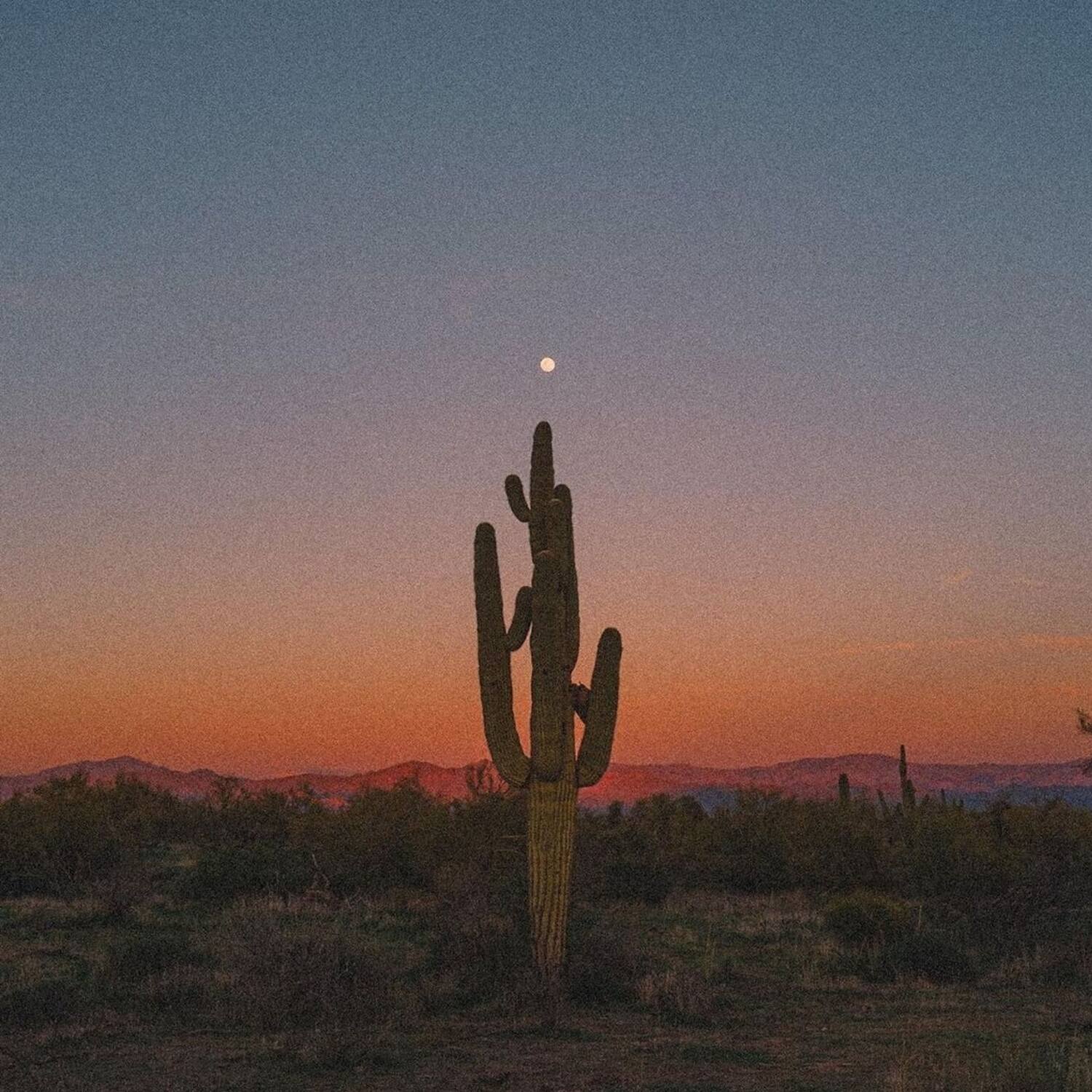 Un nuovo orizzonte ci chiama🐚