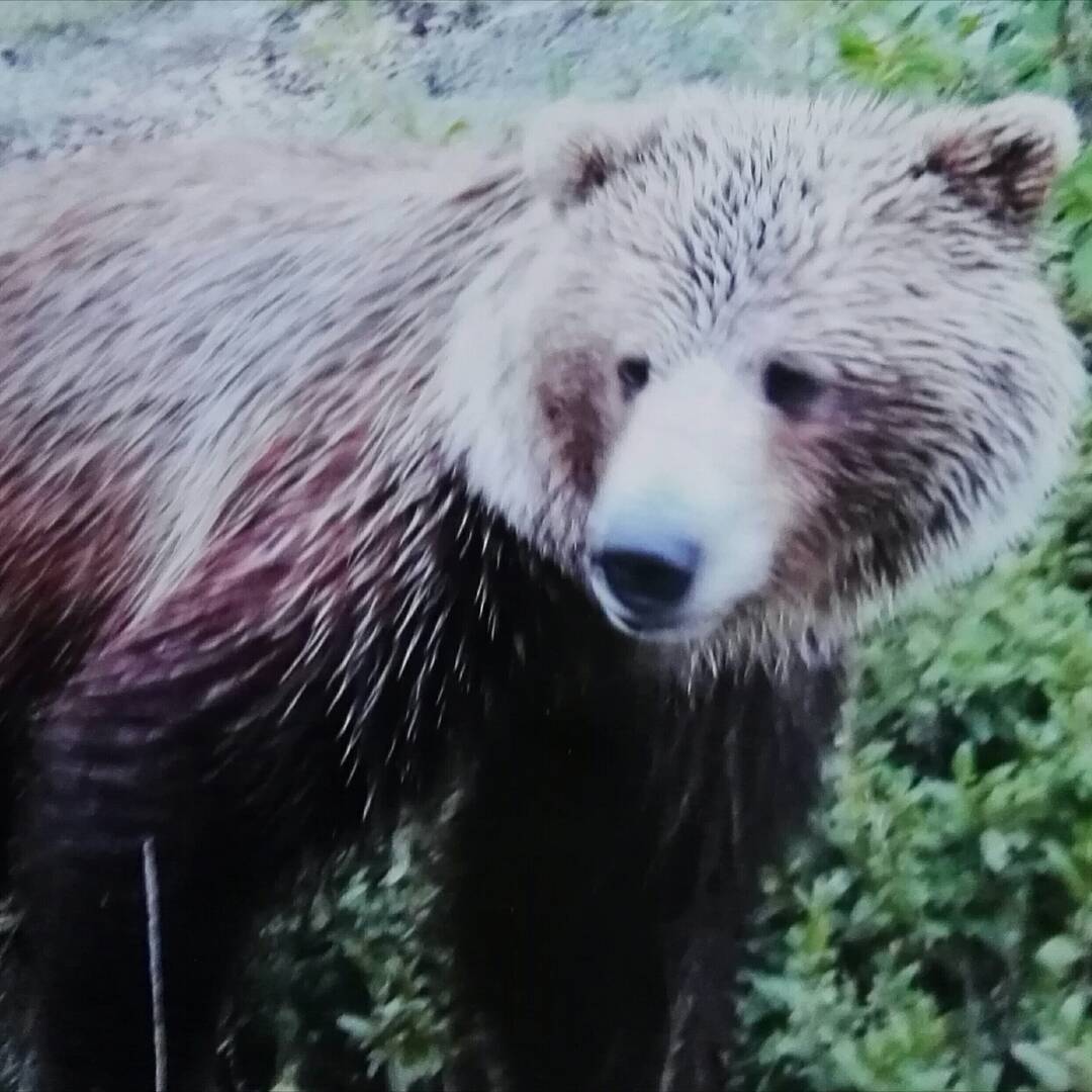 Alaska