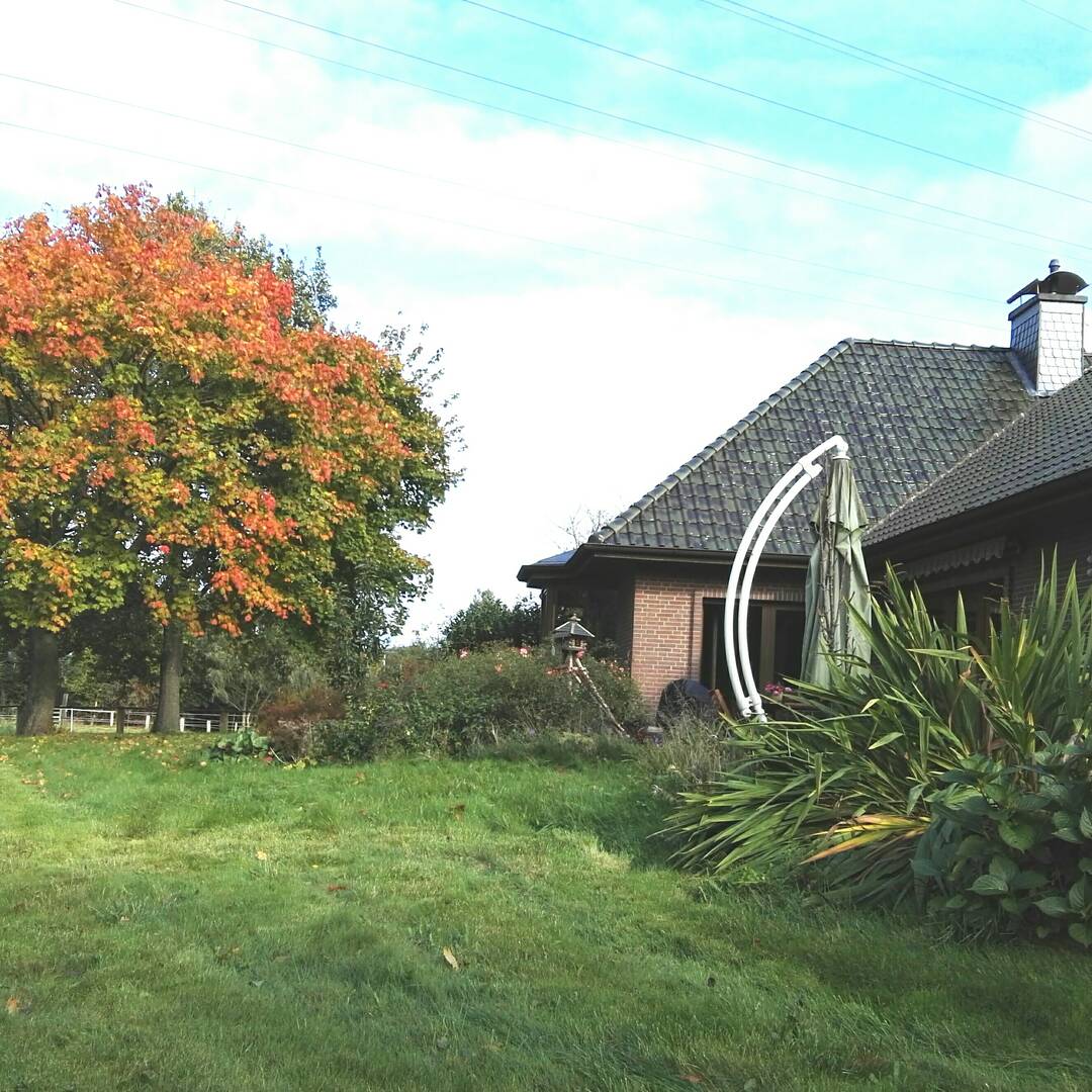 Goosefeld