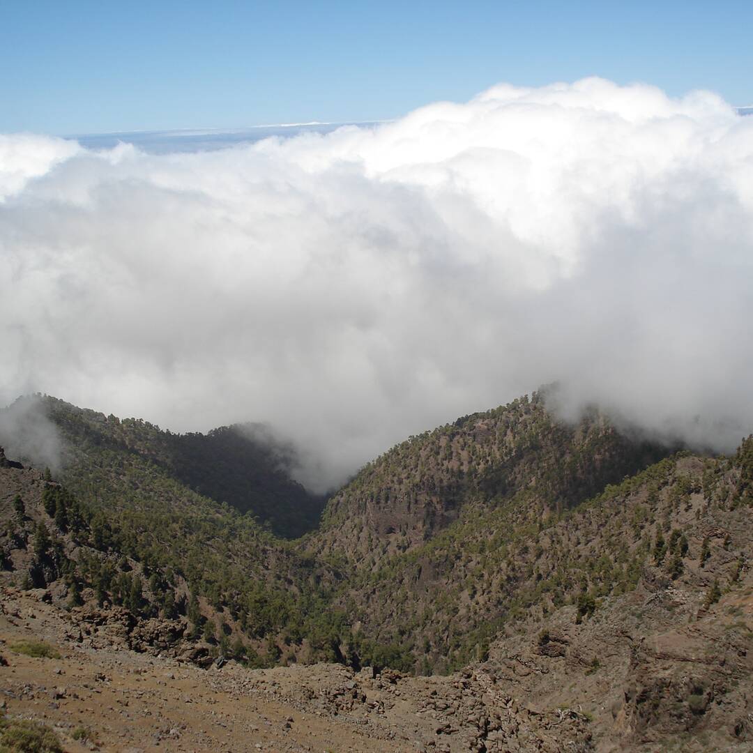La Palma