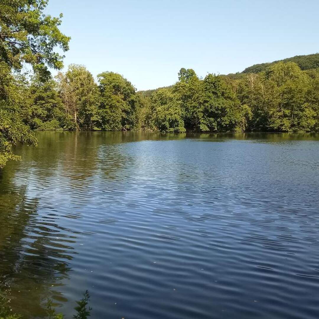 Sommer 2020