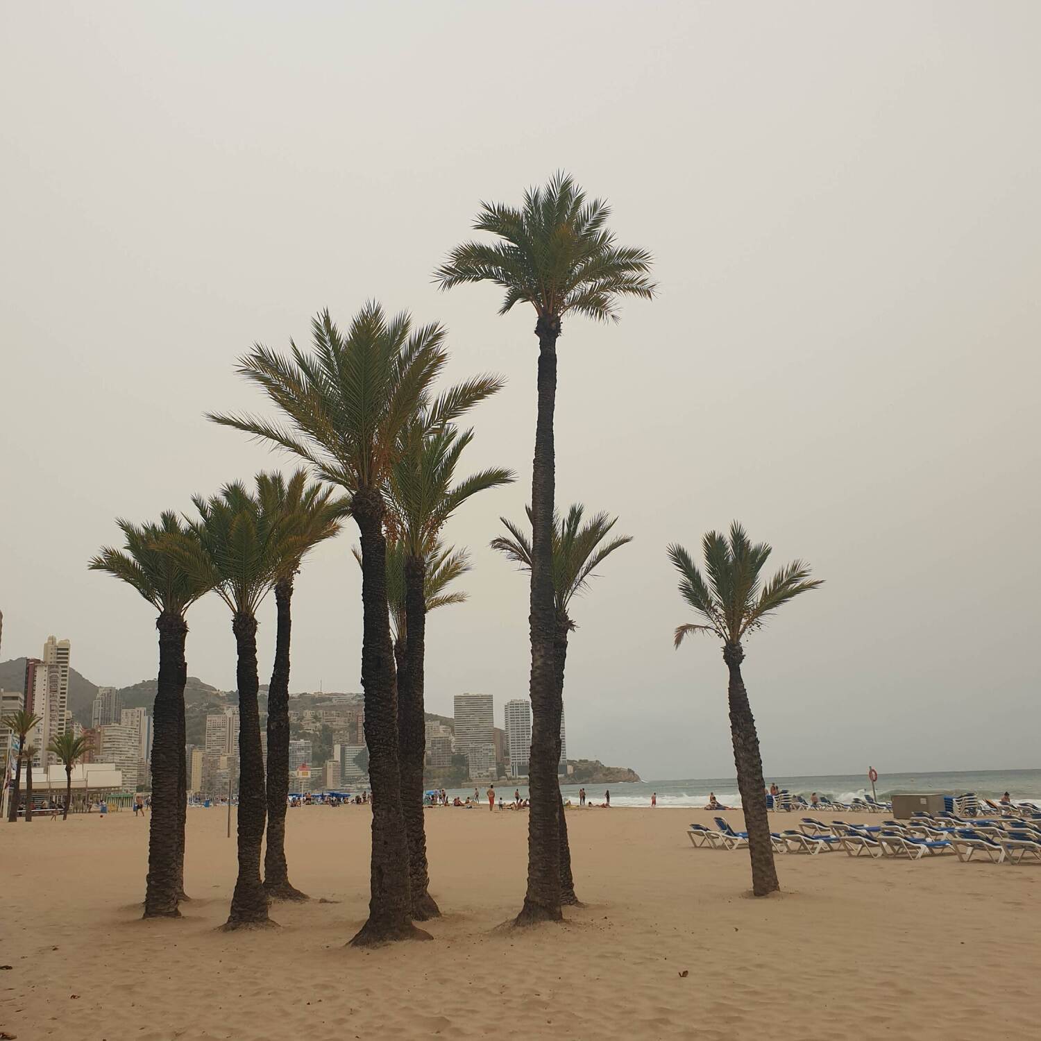 Benidorm