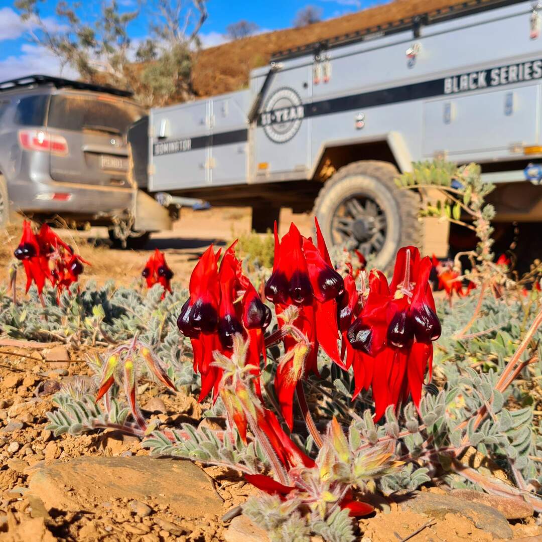 2021 Arkaroola