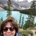 Got The Bug to Travel