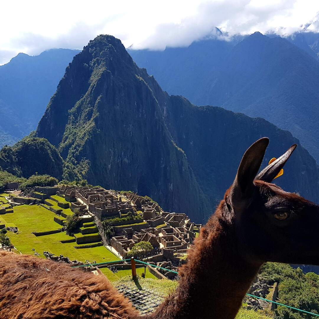 SUDAMERICA 2021