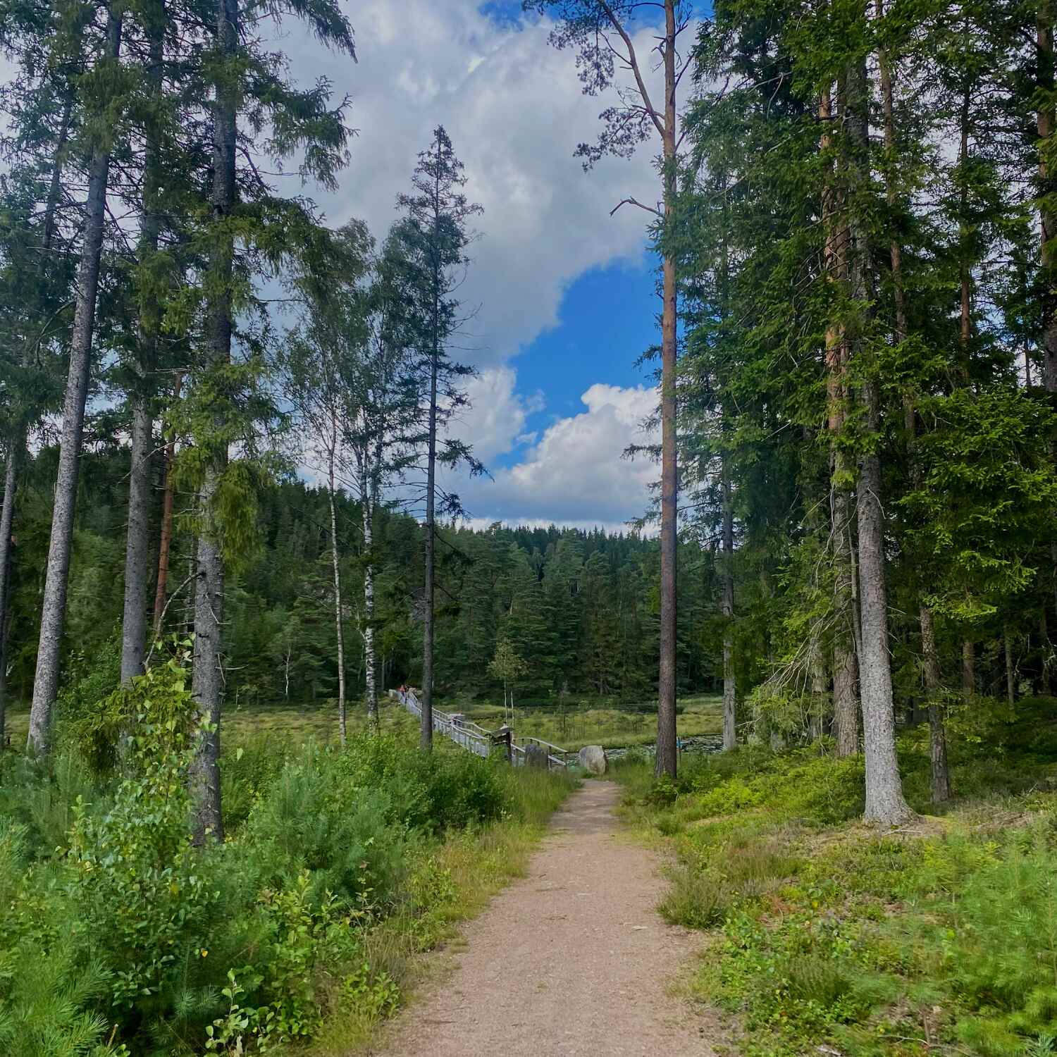 Schweden -Roadtrip