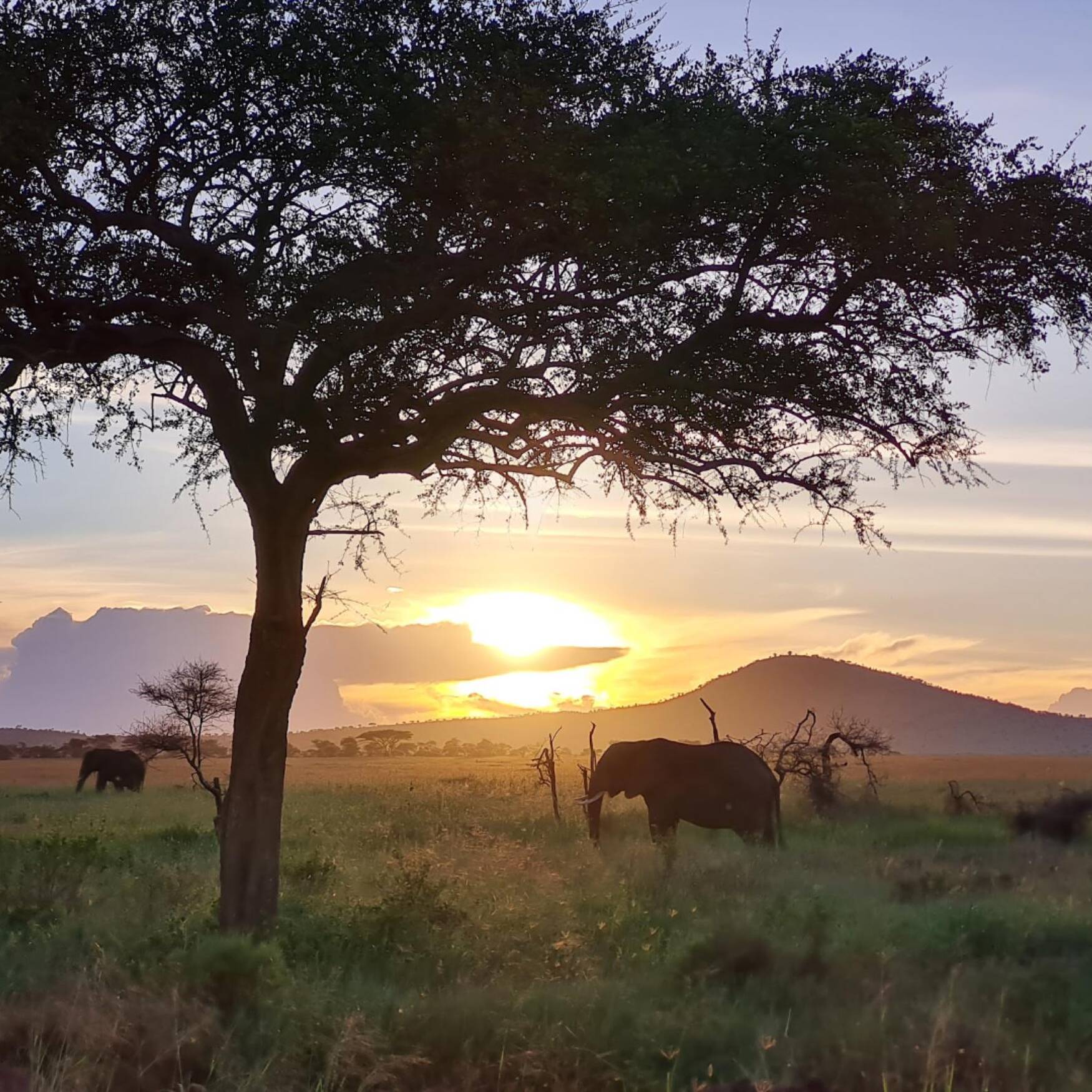 Tanzania