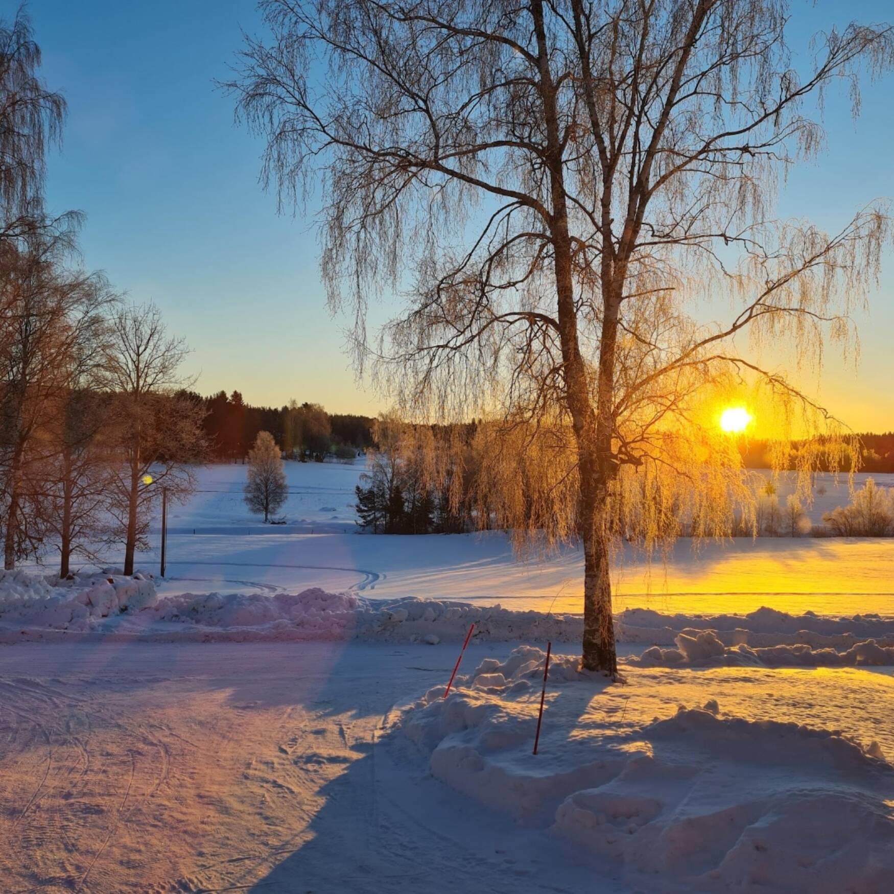Sweden Spring 2021