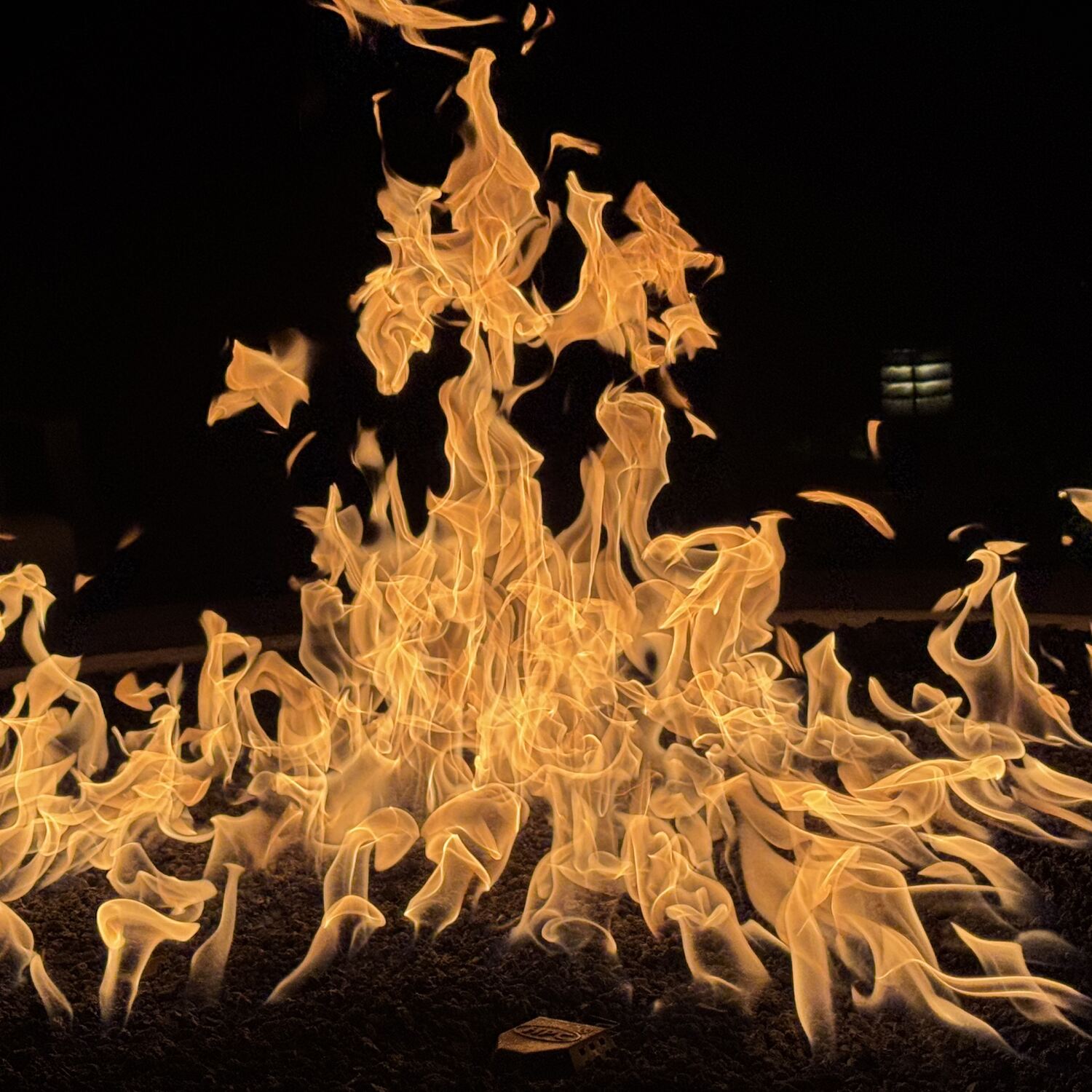 Flo, Aimee & Chris, LEE Visits