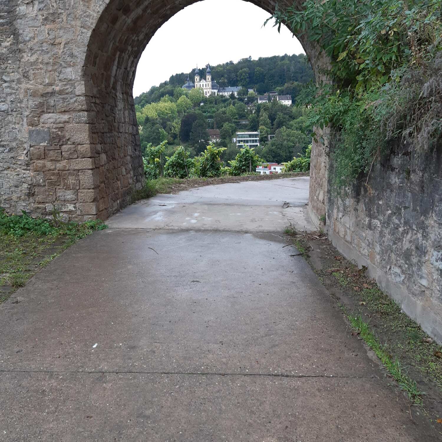 SÜDTIROL24