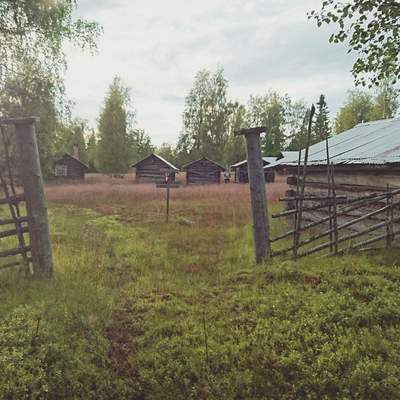 Sweden Bonfire Trip
