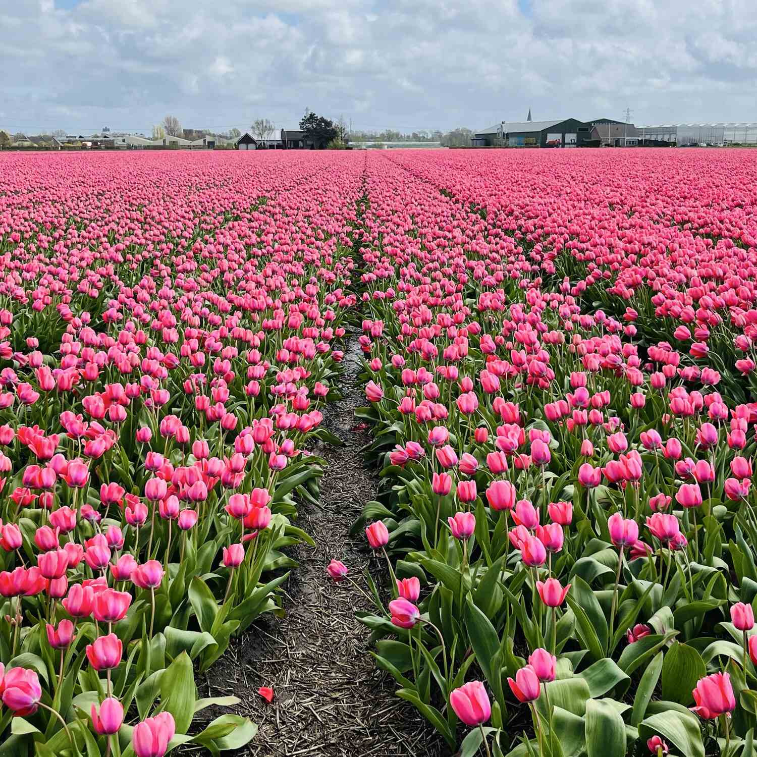 Niederlande