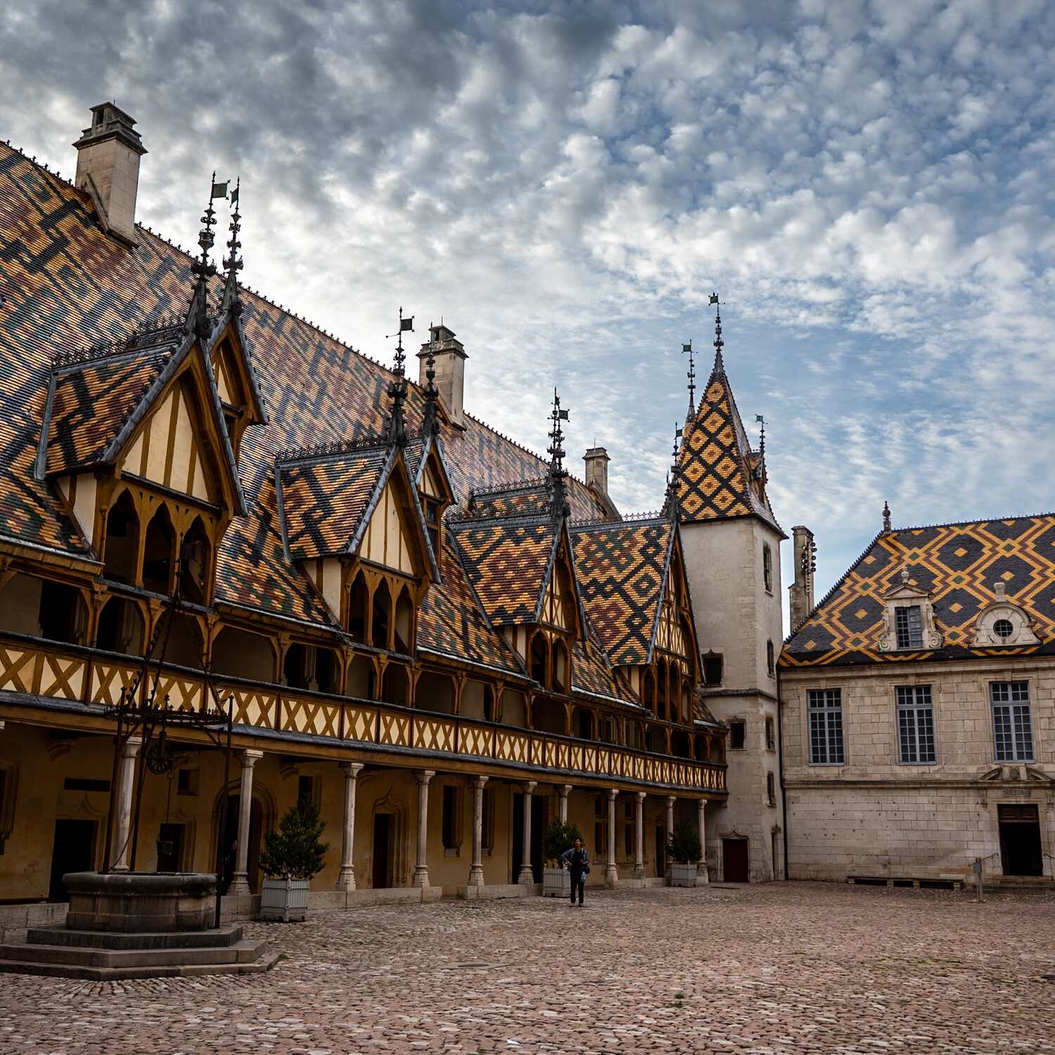 Med vinklubben till Bourgogne