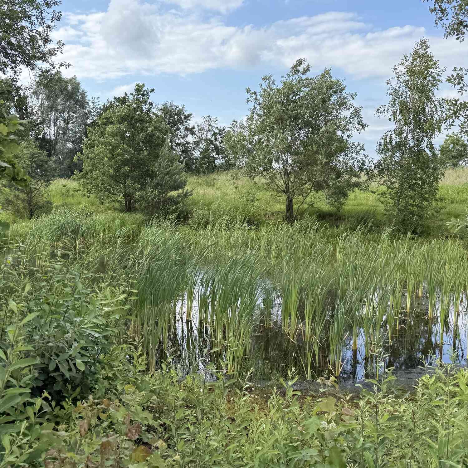 Achterhoek
