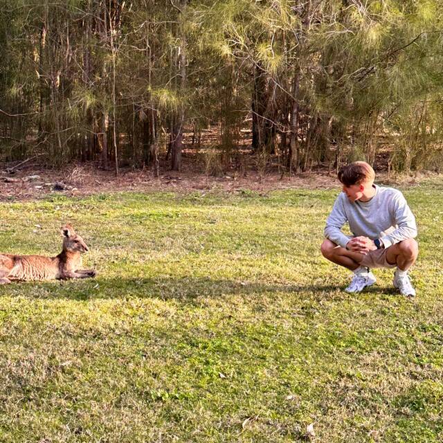 Rendevouz mit Kangaroos