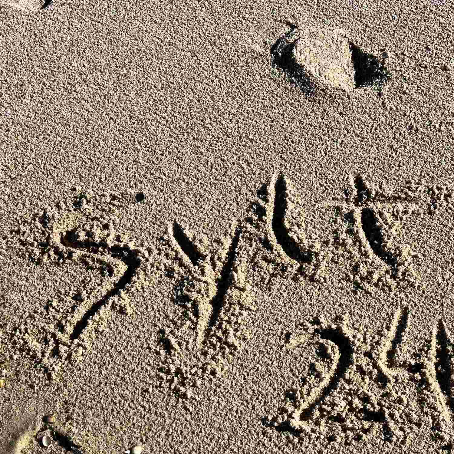 Immer wieder SYLT!