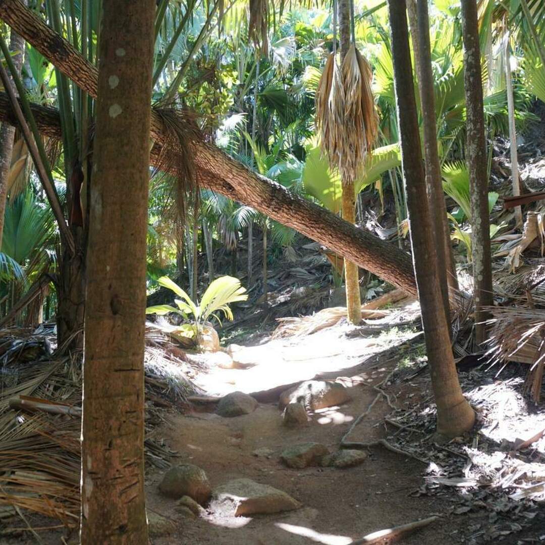 Seychellen