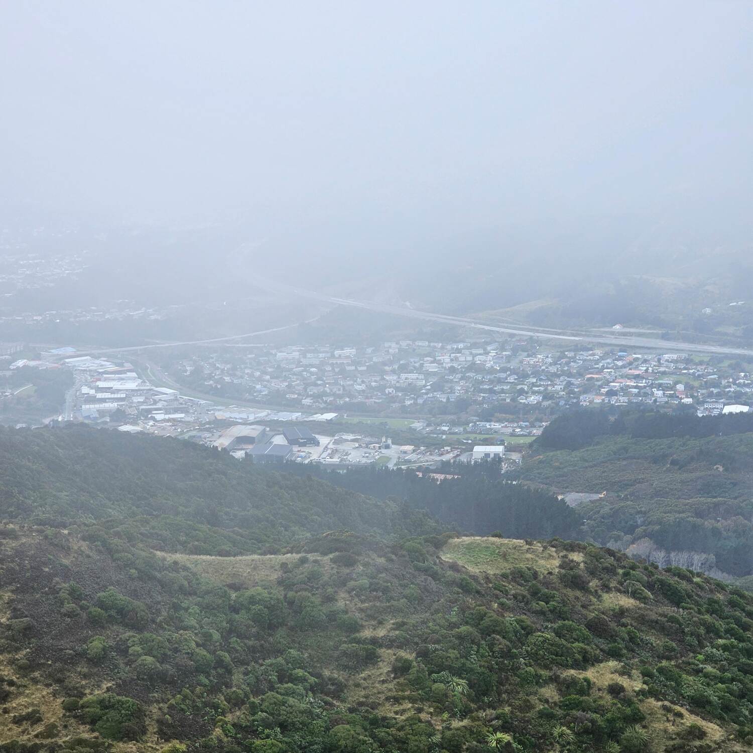 Colonial Knob