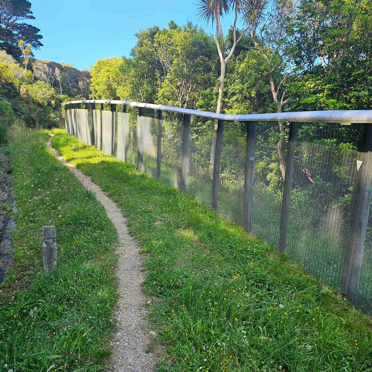 Around the Zealandia fence