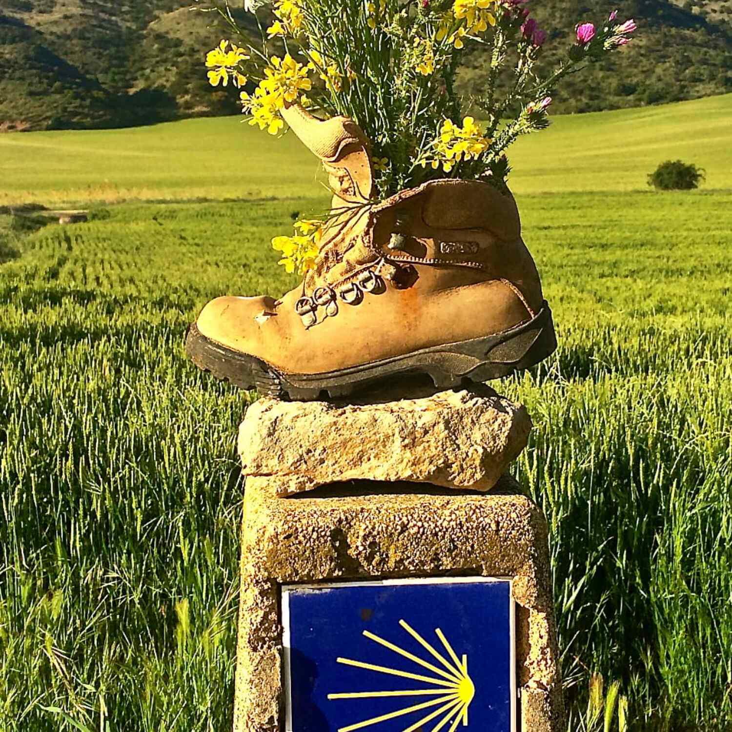 The Camino de Santiago