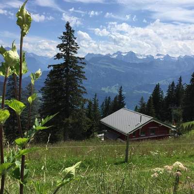 A weekend on top of Rigi