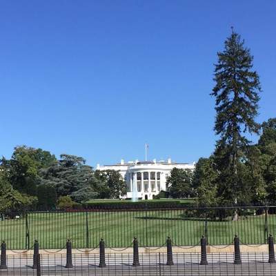 Business Trip Washington 2016