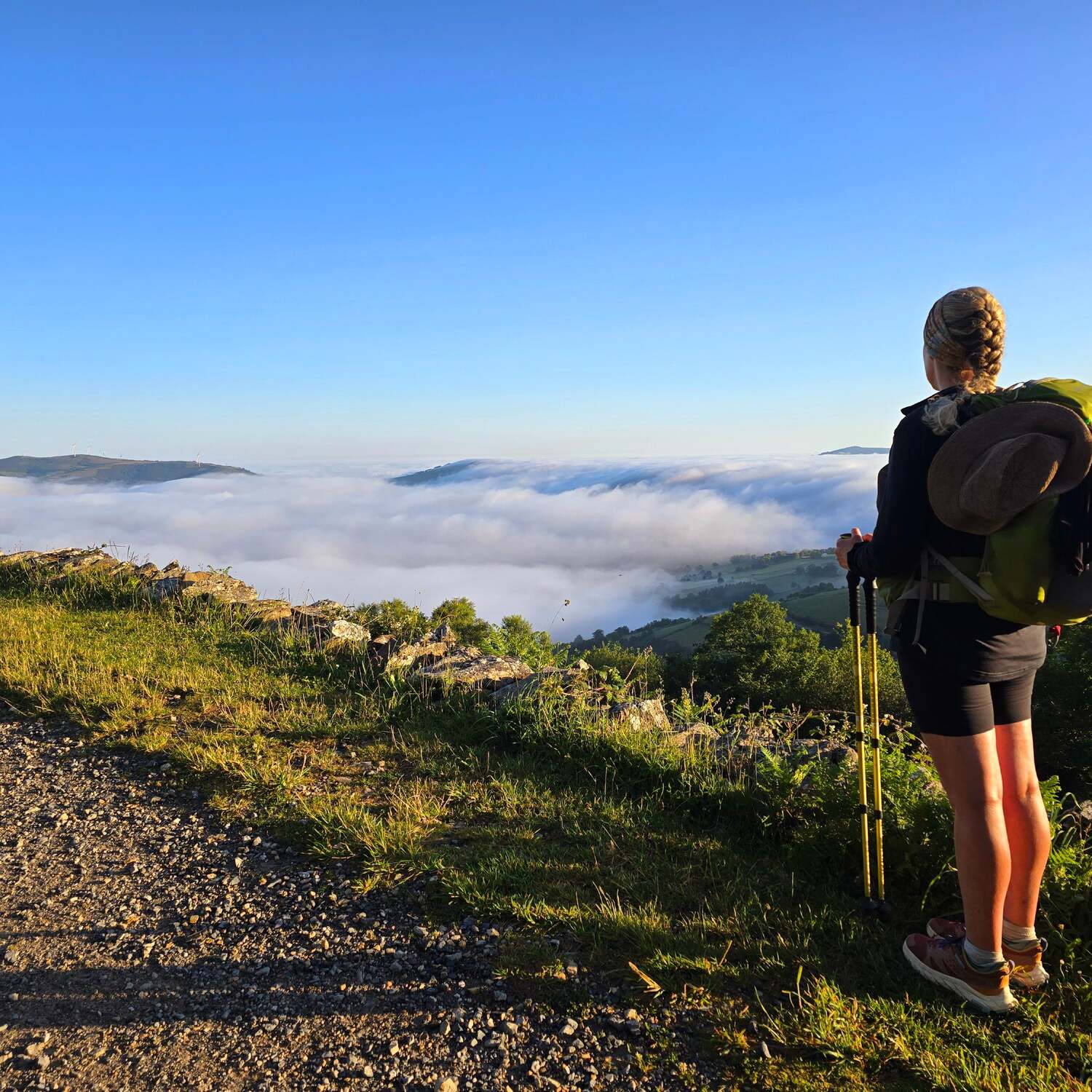 Shantelle's Camino50