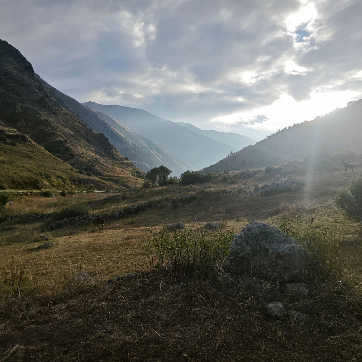 Kaçkar Dağı