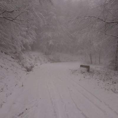 Taunus
