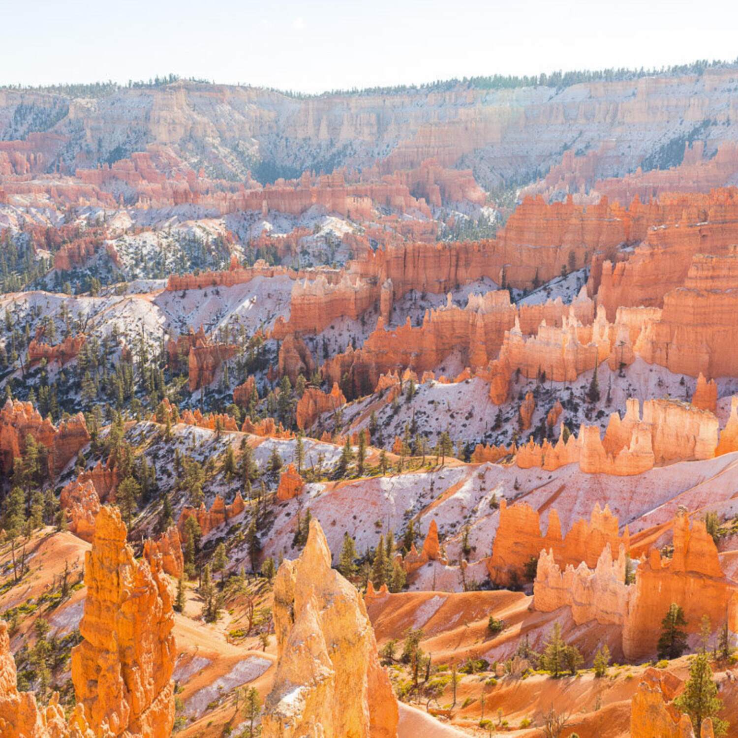 Desert Southwest 2024