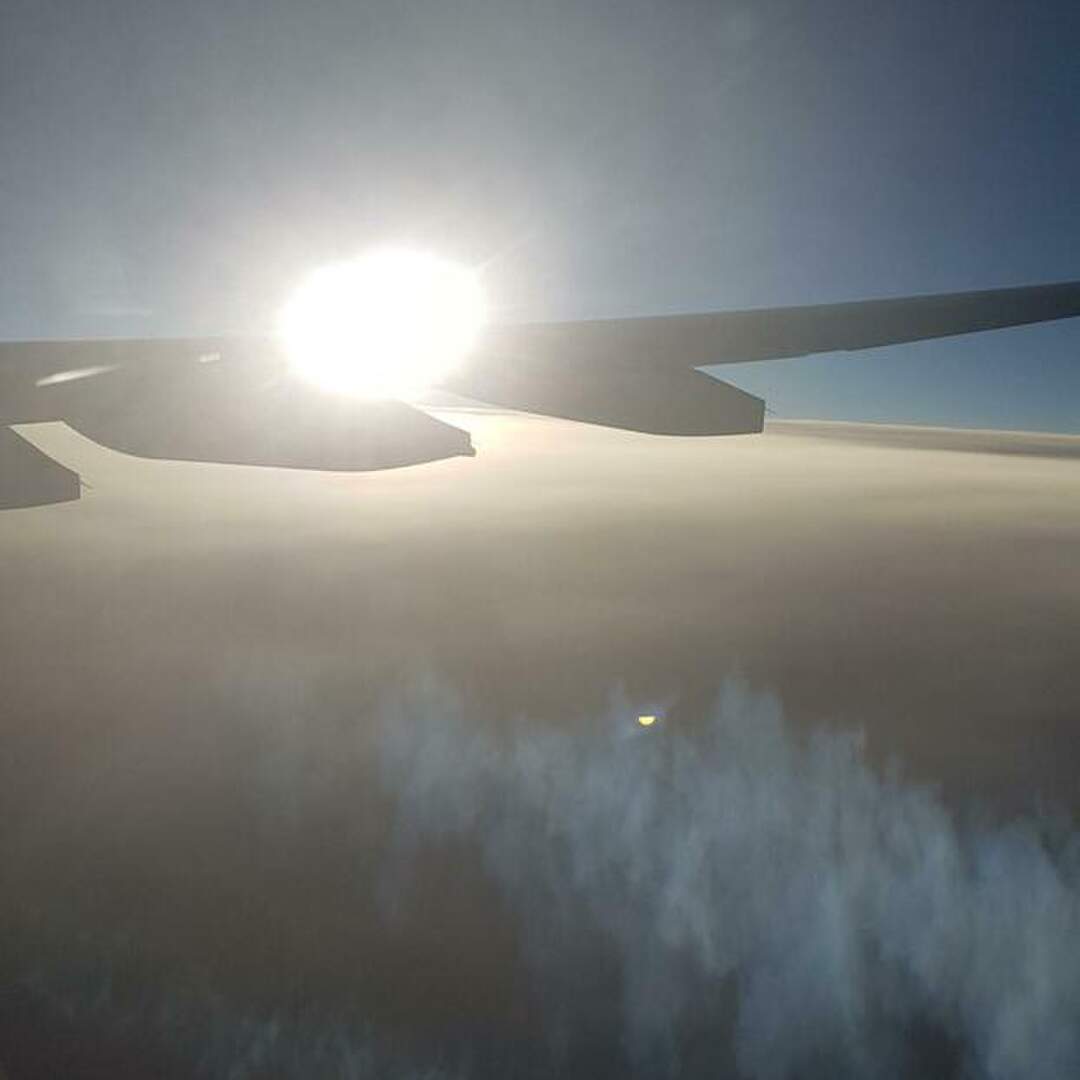 Europe bumble
