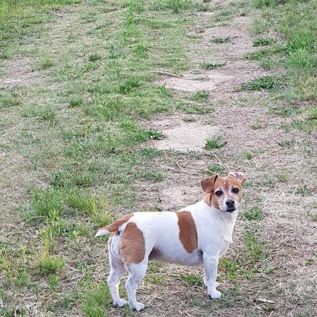 Camping with Squishy
