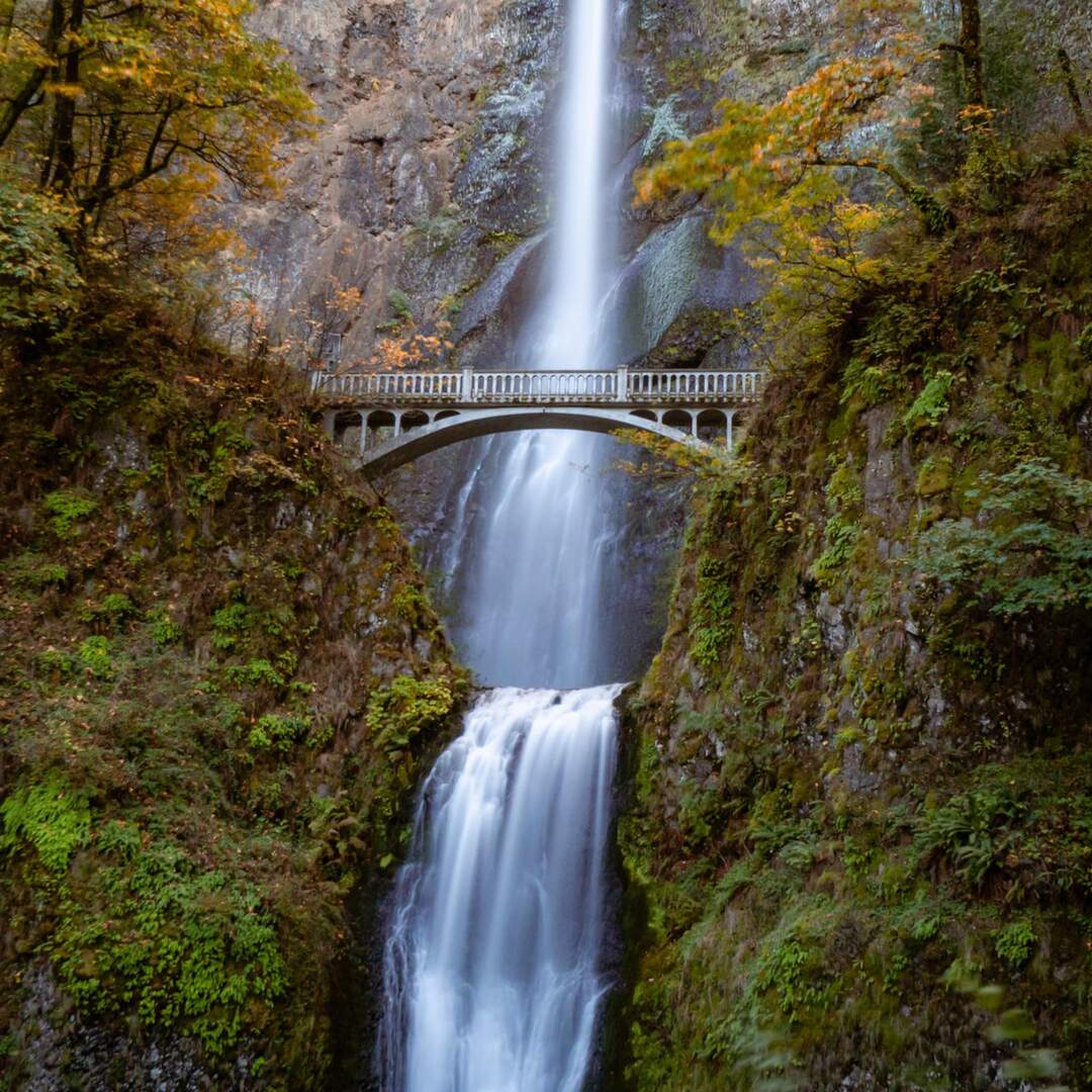 Oregon, Fall 2020