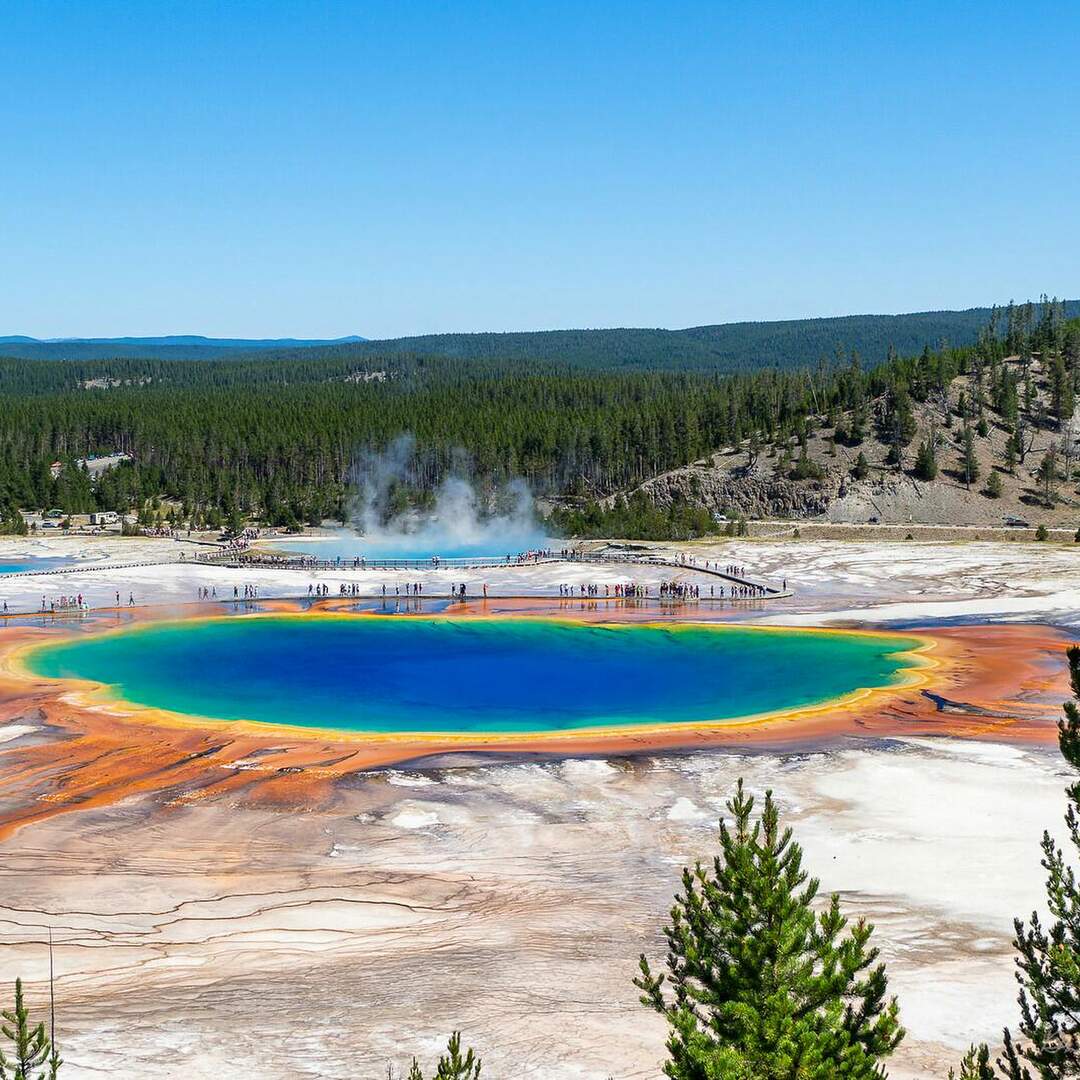 Yellowstone, Summer 2020