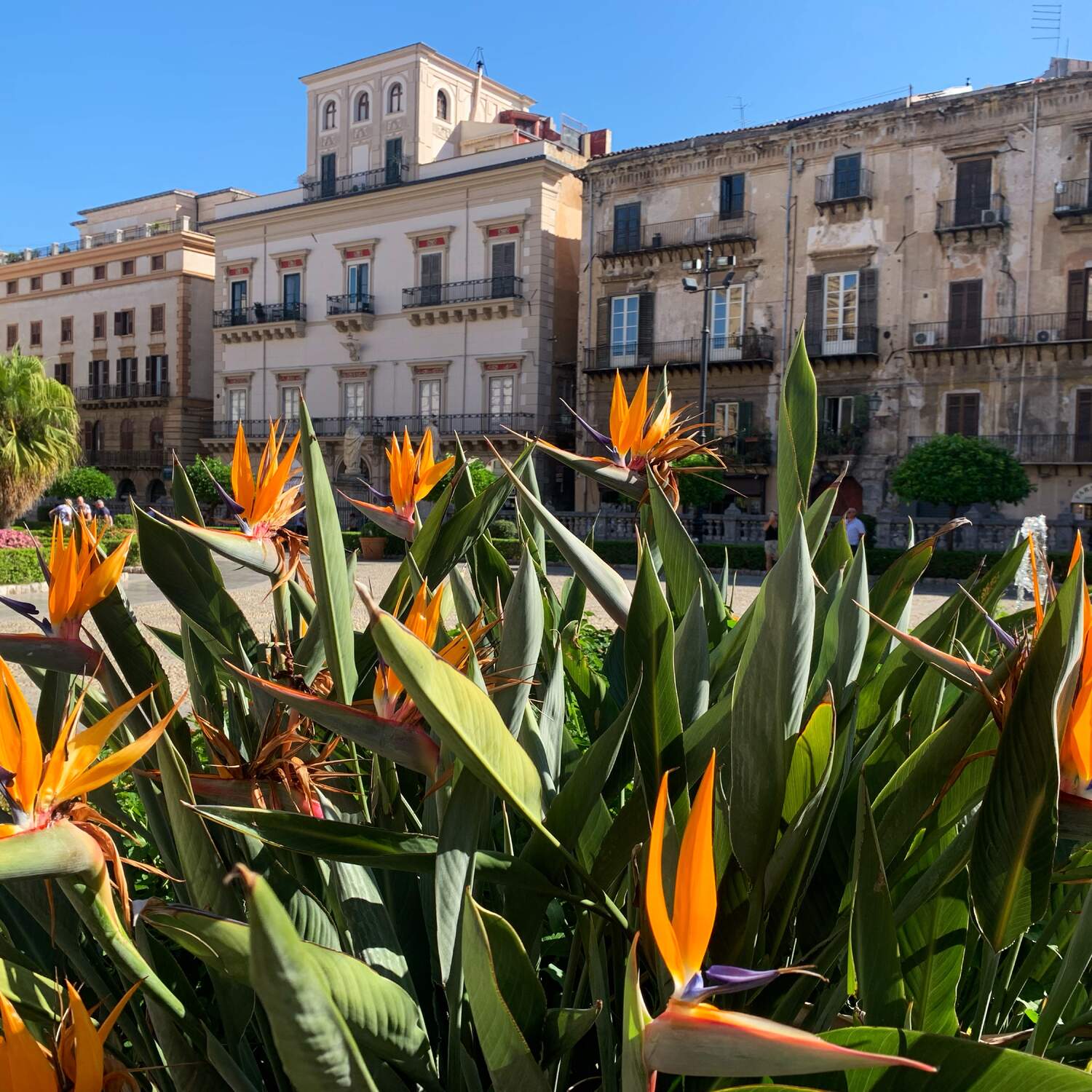 Sicily