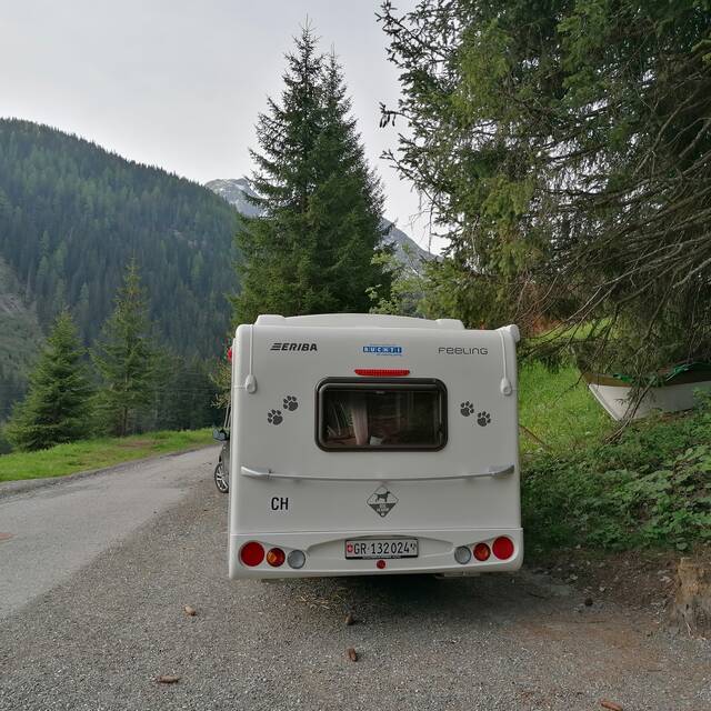 Dogcamper