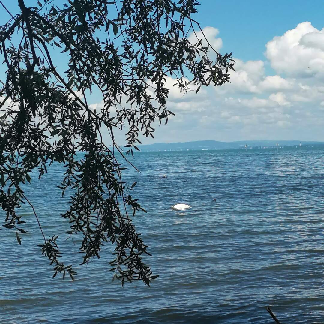 Bodensee