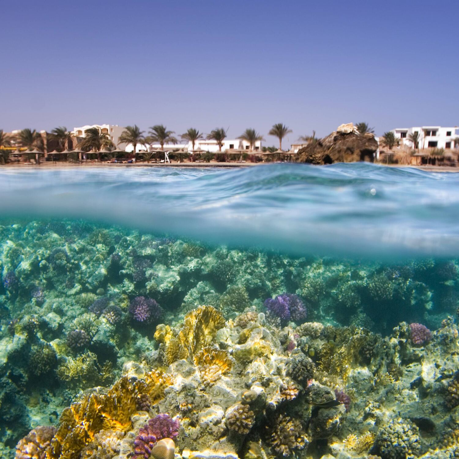 Marsa Alam (Ägypten) 🇪🇬