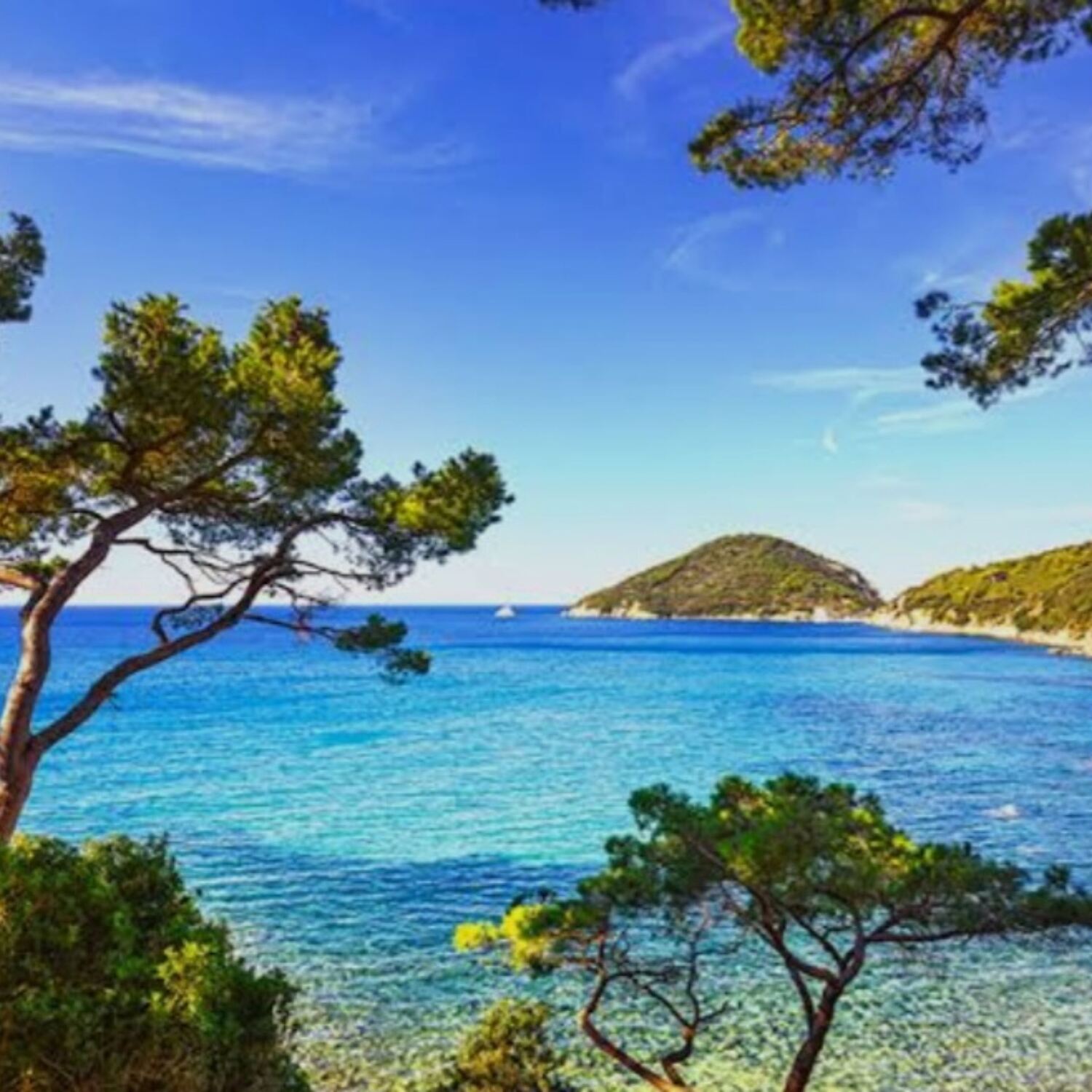 Isola d' Elba 2025