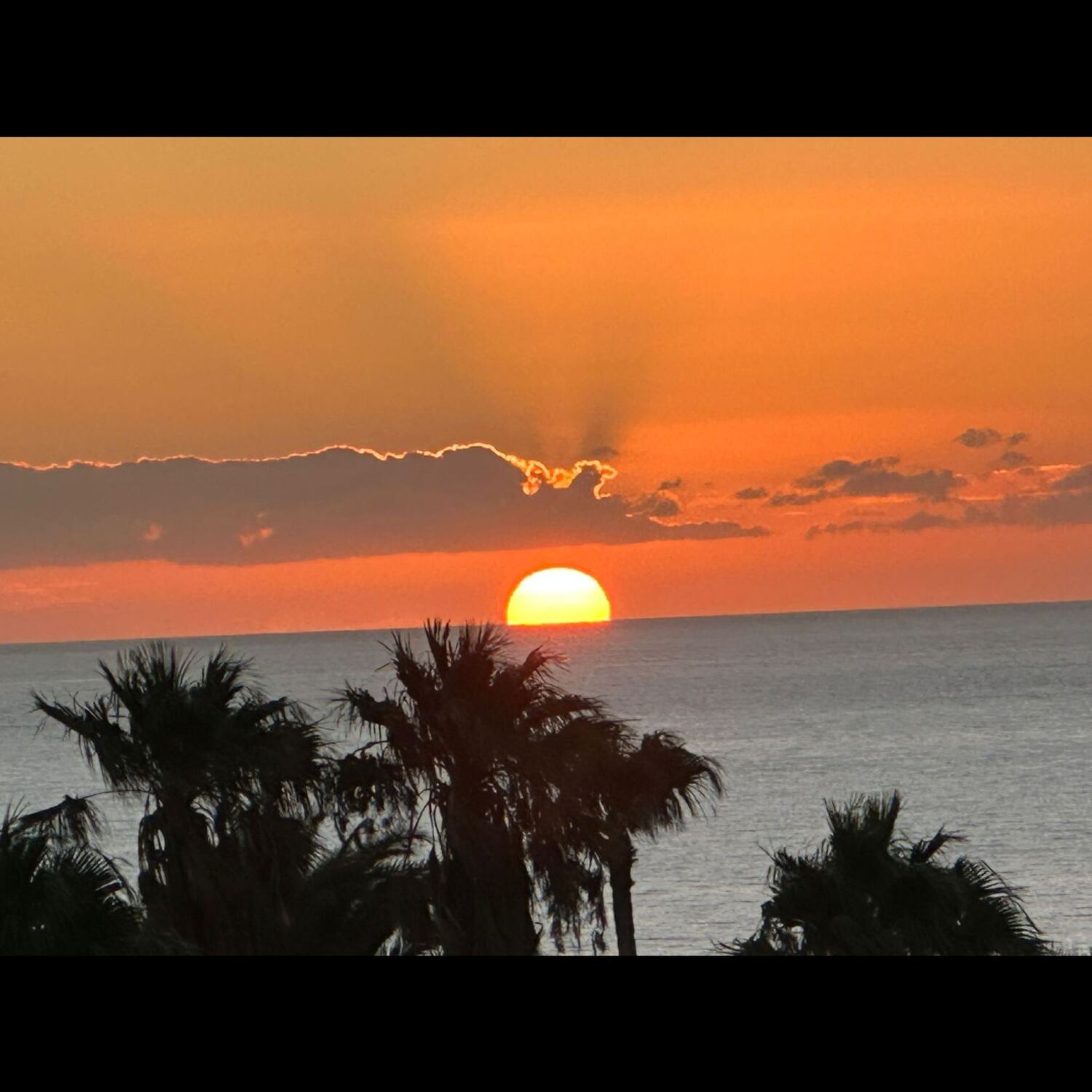 Fuerte vom 6.12. bis 13.12.25