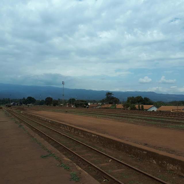 FSJ Tansania