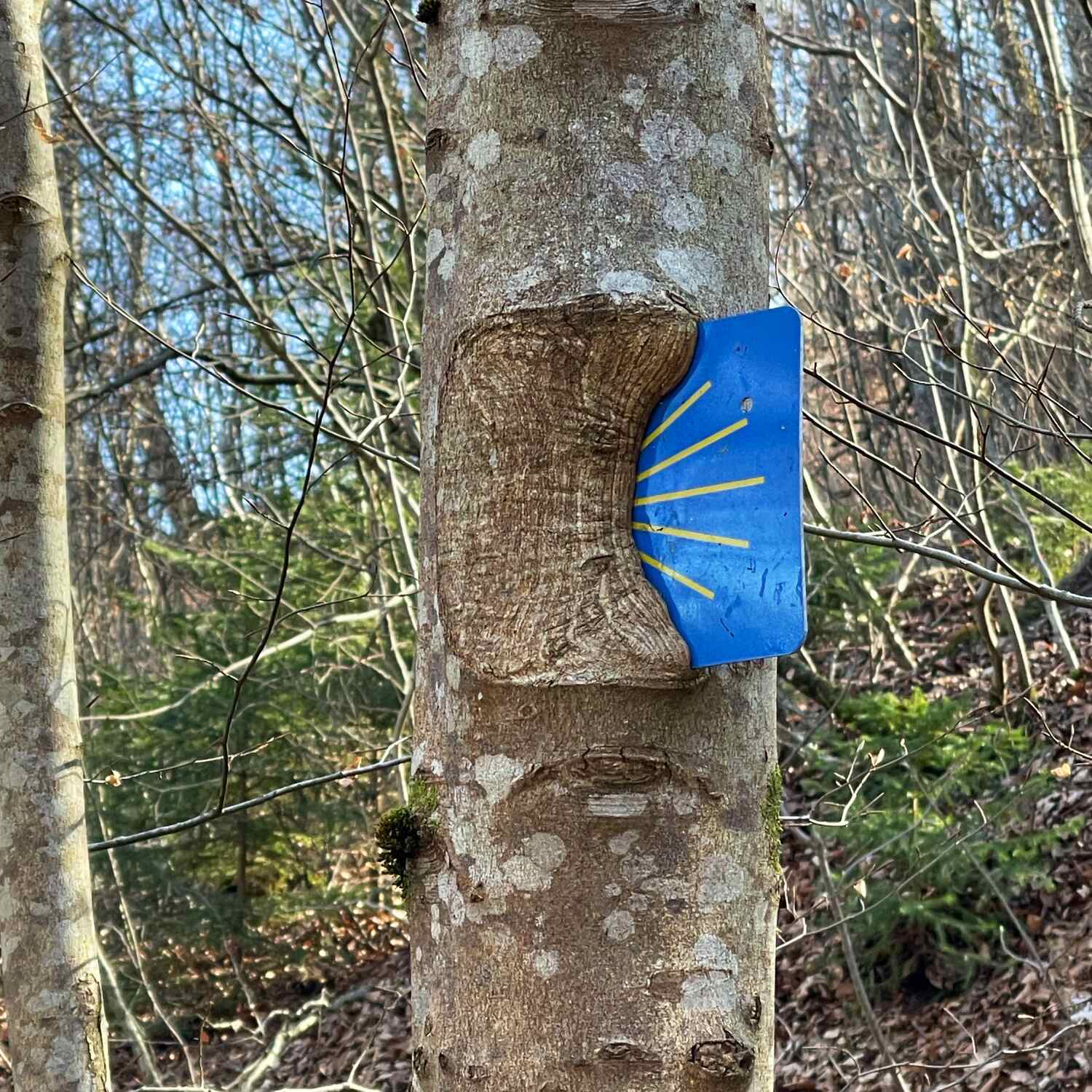 Erlebnisse auf dem Pilgerweg