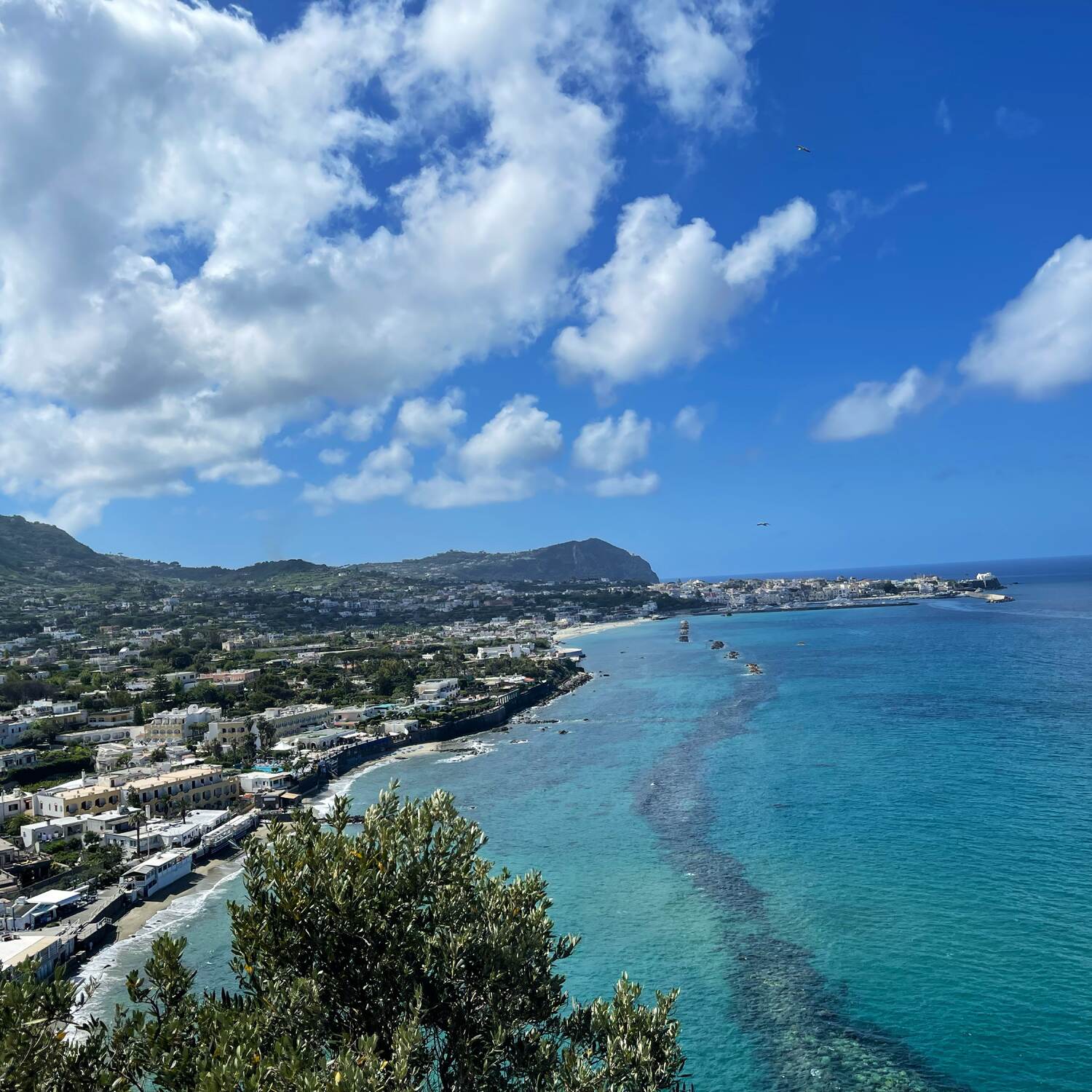 Insel Ischia Süditalien
