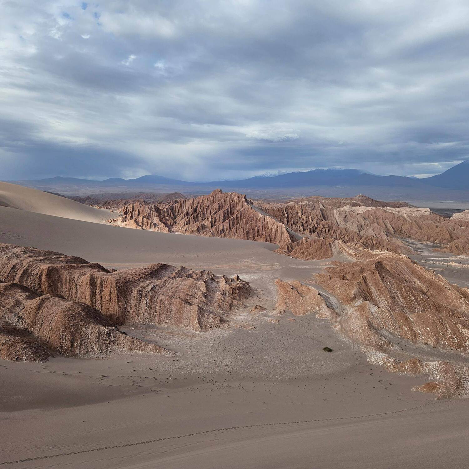 Viaje alrededor de Calama 2