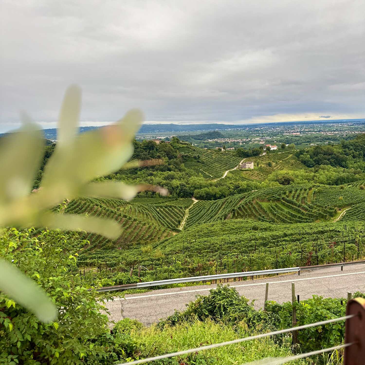 🇮🇹Italy Prosecco🇮🇹